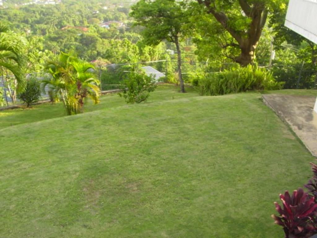 Hill Top Kingston Jamaica Eksteriør bilde