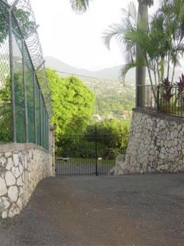 Hill Top Kingston Jamaica Eksteriør bilde